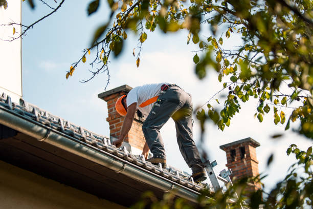 Best Gutter Installation and Repair  in Collinsville, VA