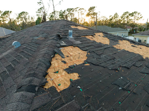 Emergency Roof Repair in Collinsville, VA
