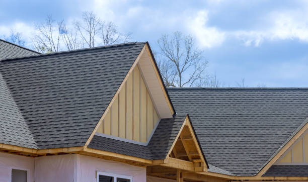Best Metal Roofing Installation  in Collinsville, VA